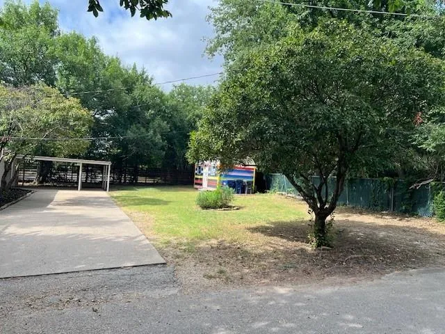 a view of a yard with plants and trees
