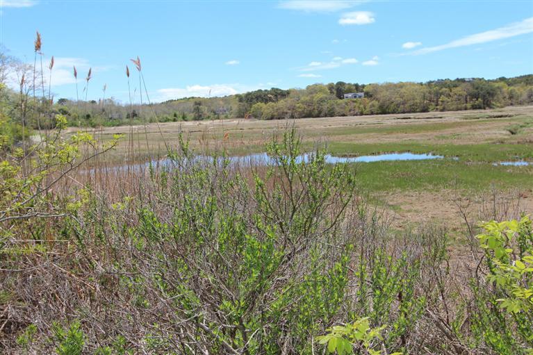 19 Castle Road Truro, MA 02666 - Photo 23 of 33 Additional Photo