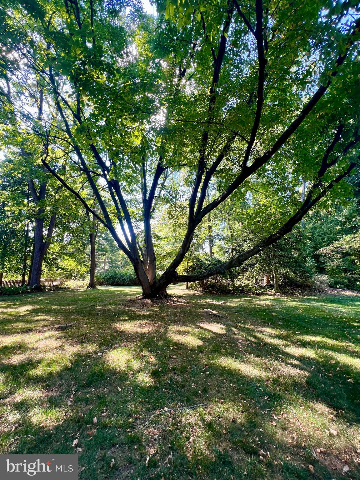 328 Beaumont Road Devon, PA 19333 - Photo 23 of 57 bucolic trees & views