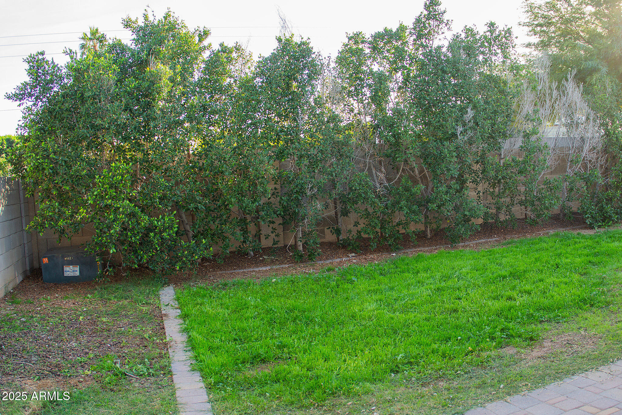 4731 West Wethersfield Road Glendale, AZ 85304 - Photo 49 of 53 Backyard 1a