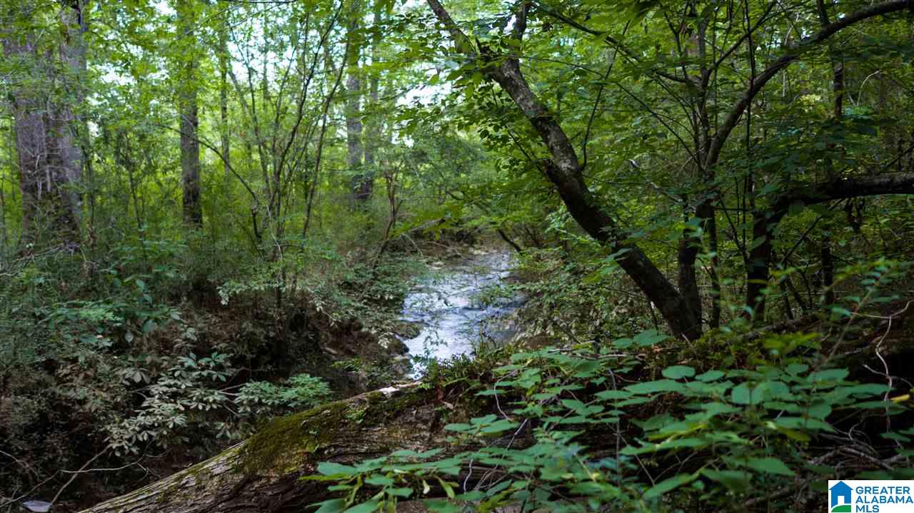 180 Gibson Road, Unit 76 / ACRES OFF GIBSON R Columbiana, AL 35051 - Photo 41 of 50