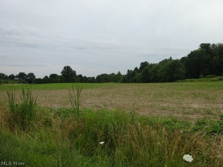 13545 Diagonal Road Salem, OH 44460 - Photo 10 of 14 Gallery Image 10