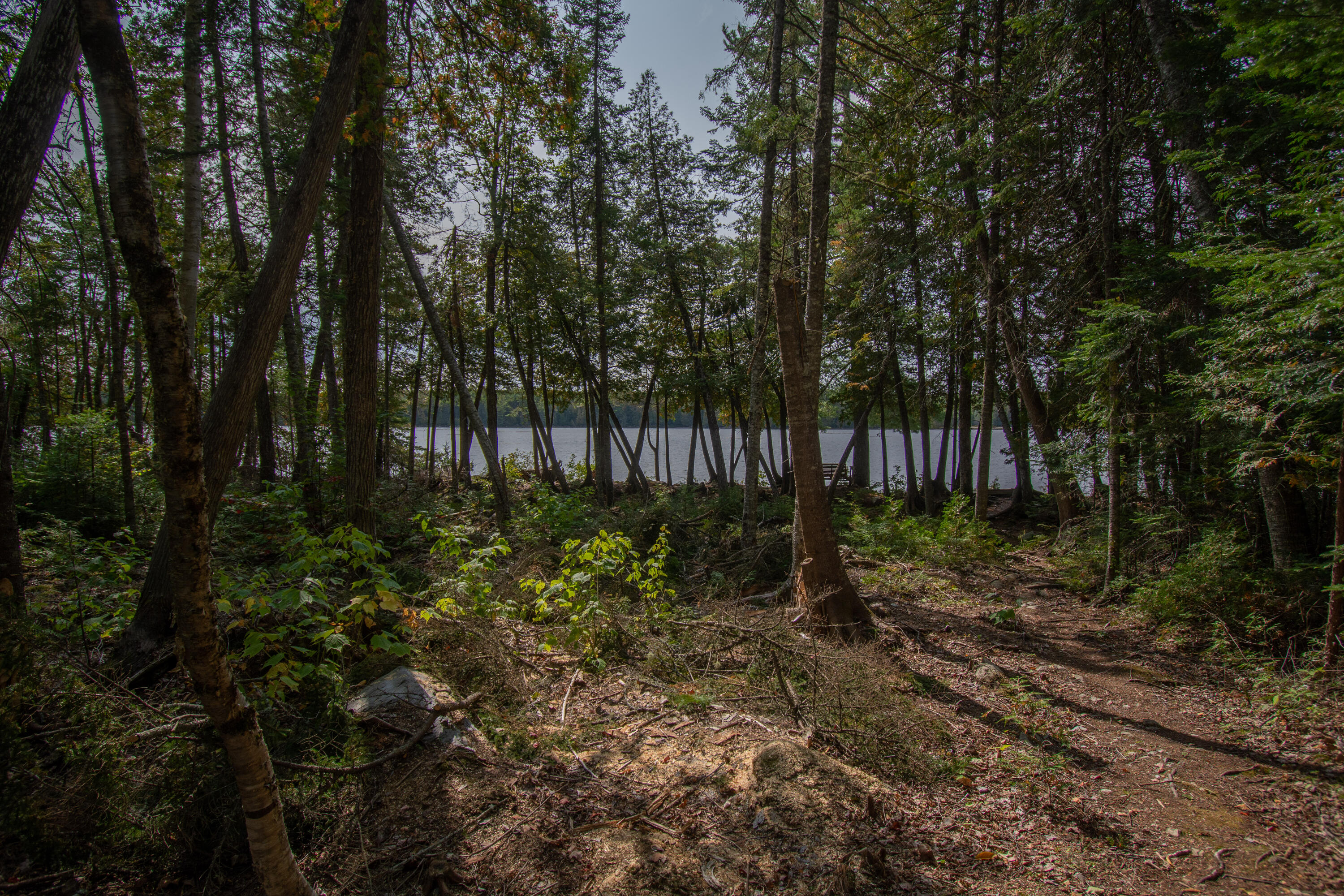 221 Loop Road West Forks, ME 04985 - Photo 11 of 39 015_0427