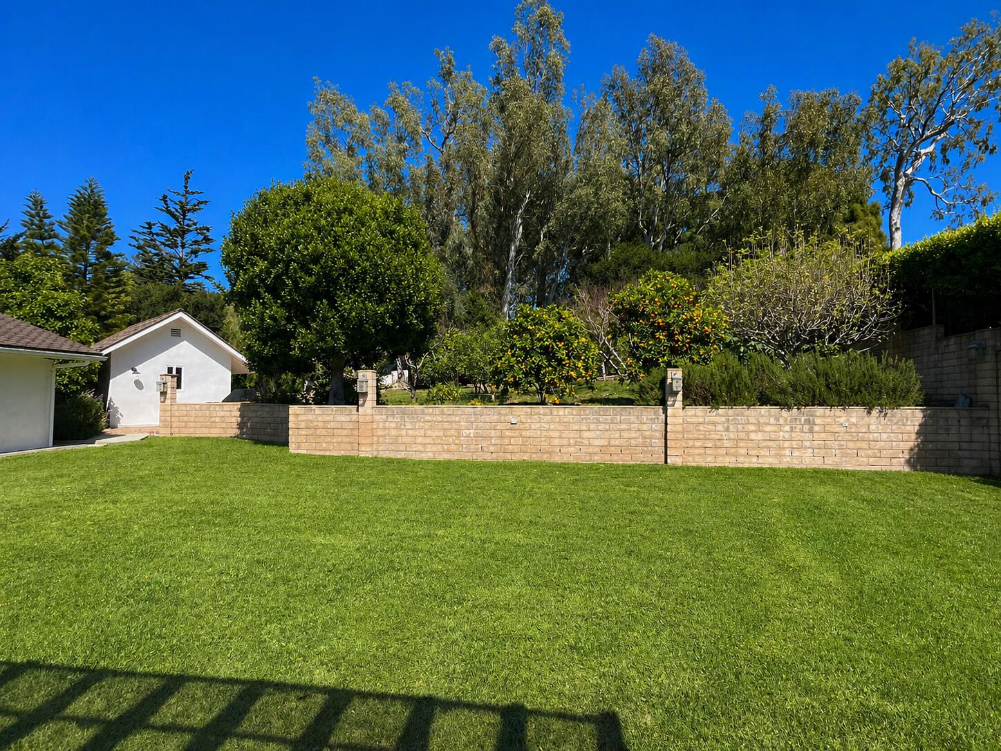 451 Live Oaks Road Montecito, CA 93108 - Photo 16 of 16 Orchard