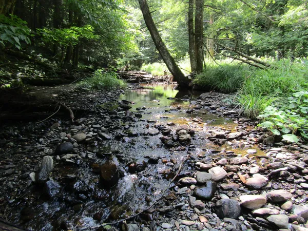 $450,000 | 1285 Witchcat Road, Bakersfield, VT 05450