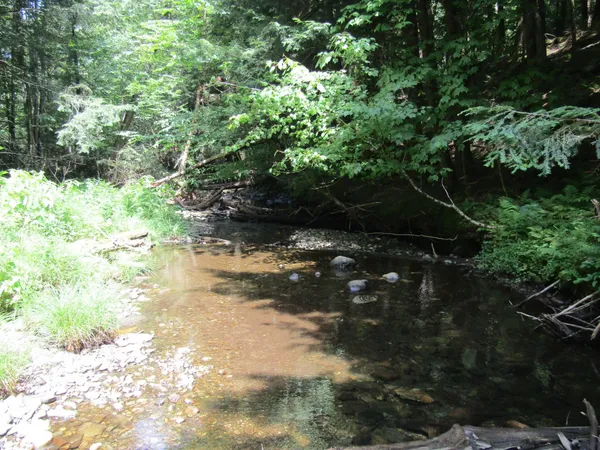 $450,000 | 1285 Witchcat Road, Bakersfield, VT 05450