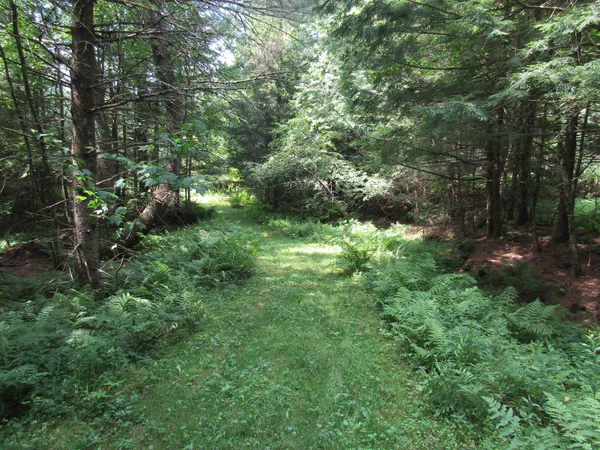 $450,000 | 1285 Witchcat Road, Bakersfield, VT 05450