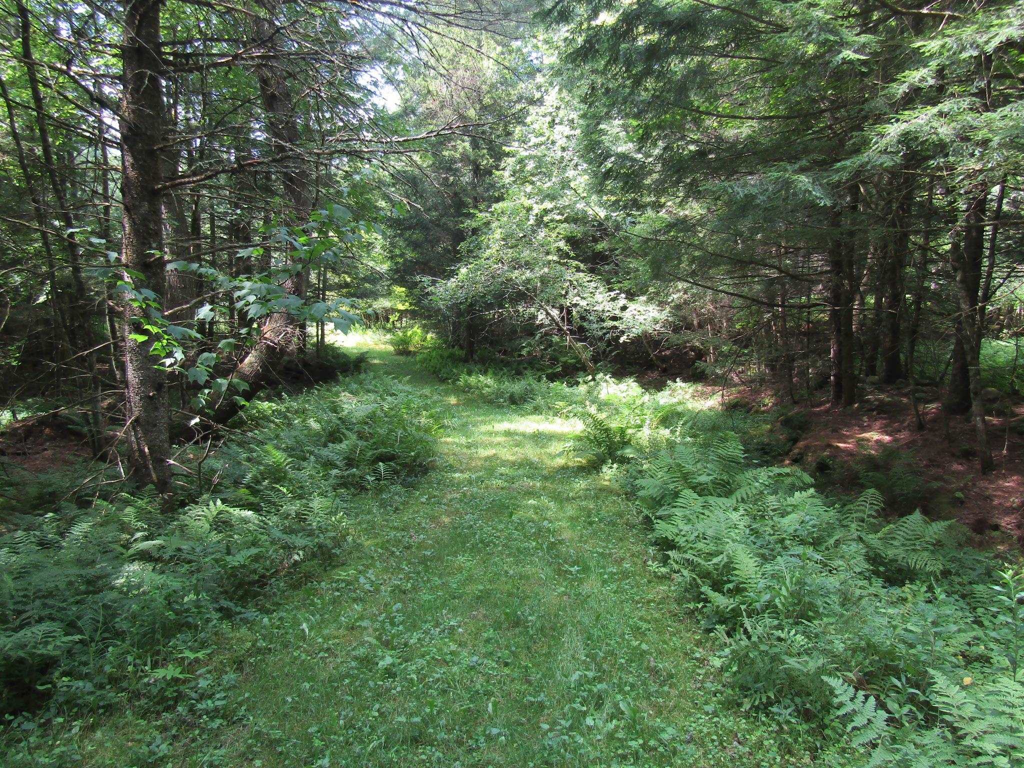 1285 Witchcat Road Enosburg Falls, VT 05450 - Photo 54 of 59