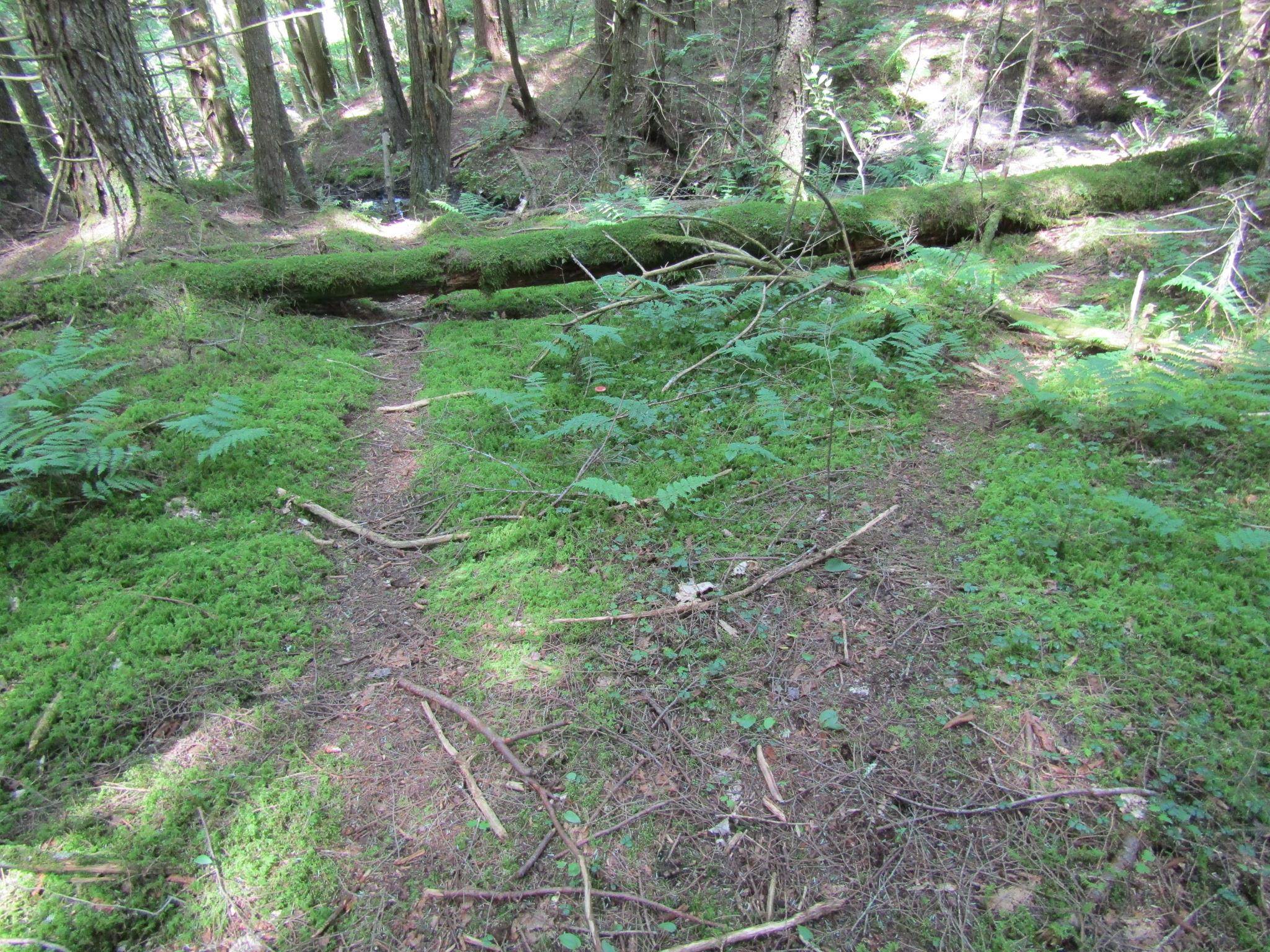 1285 Witchcat Road Enosburg Falls, VT 05450 - Photo 55 of 59