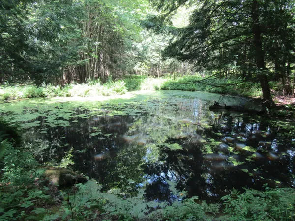 $450,000 | 1285 Witchcat Road, Bakersfield, VT 05450