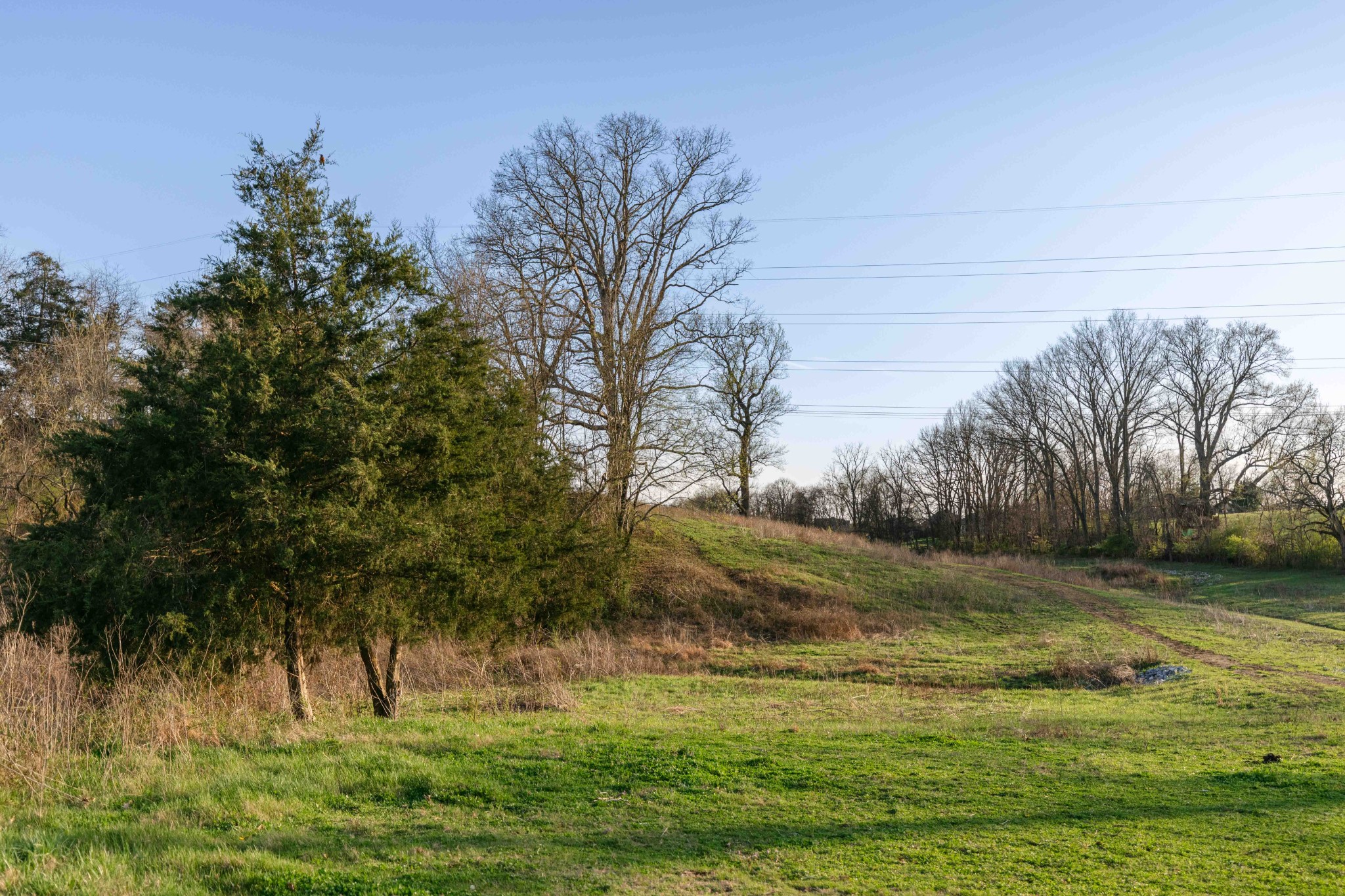 4891 Murfreesboro Road Arrington, TN 37014 - Photo 12 of 14 a view of grassy field with trees
