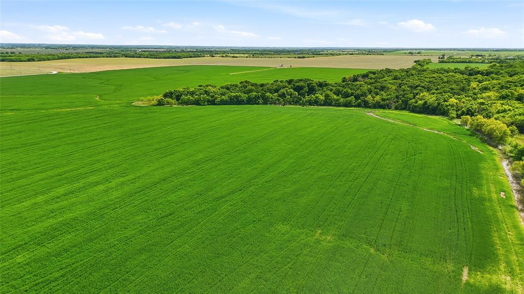 200-acres Davis Road Collinsville, TX 76233 - Photo 11 of 21