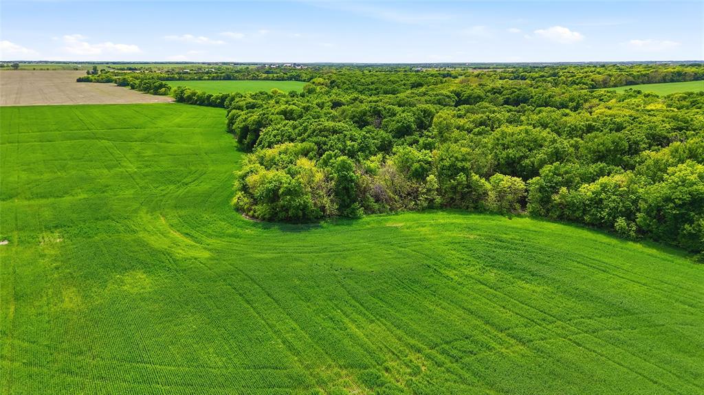 200-acres Davis Road Collinsville, TX 76233 - Photo 12 of 21