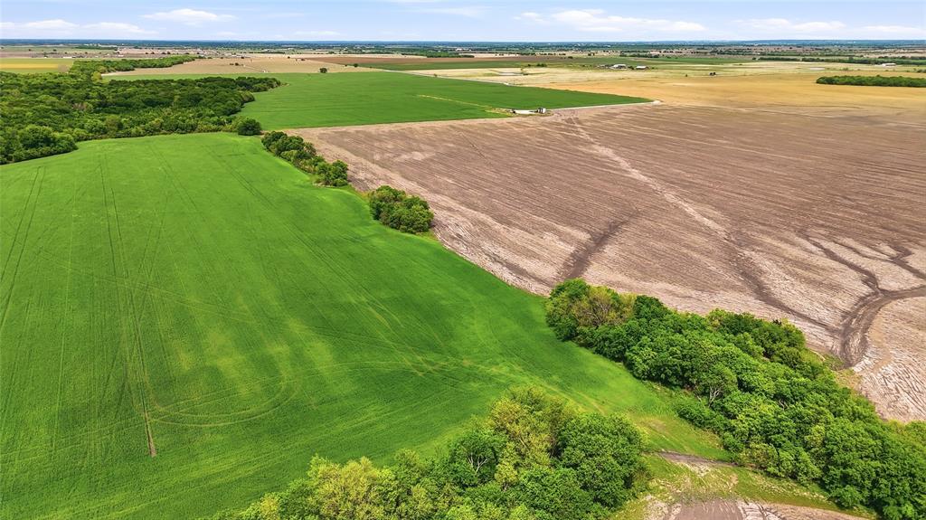 200-acres Davis Road Collinsville, TX 76233 - Photo 15 of 21