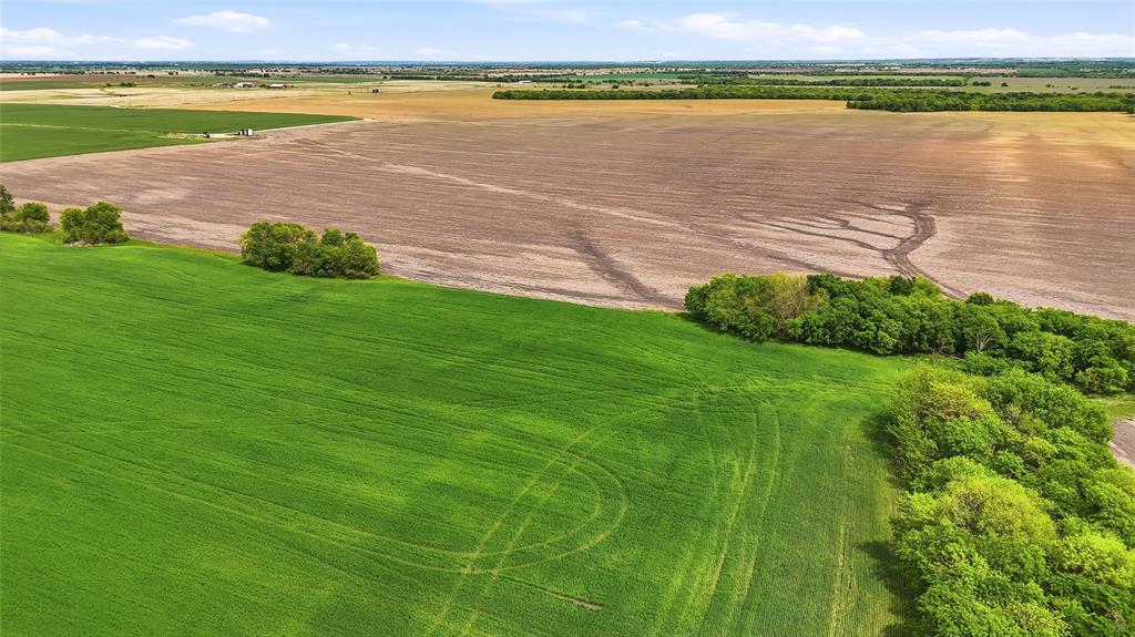 200-acres Davis Road Collinsville, TX 76233 - Photo 16 of 21