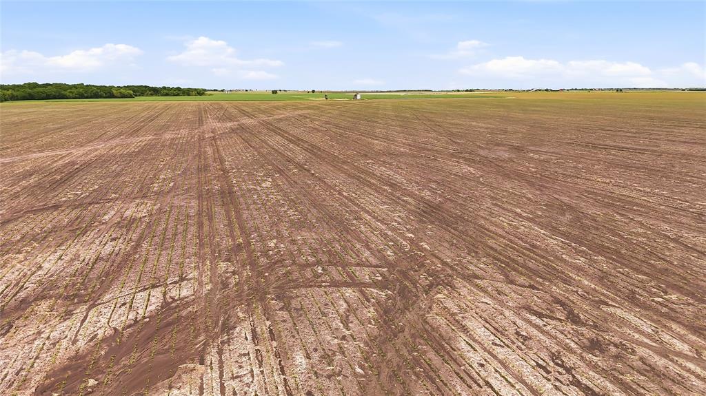 200-acres Davis Road Collinsville, TX 76233 - Photo 18 of 21