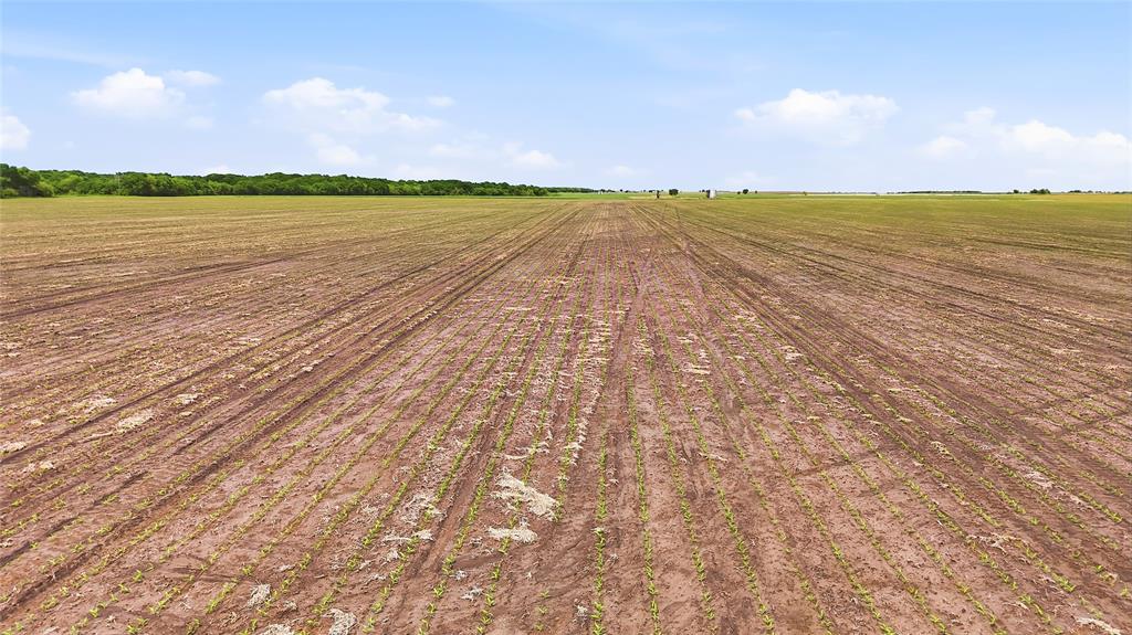 200-acres Davis Road Collinsville, TX 76233 - Photo 19 of 21