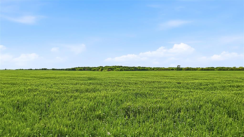 200-acres Davis Road Collinsville, TX 76233 - Photo 5 of 21