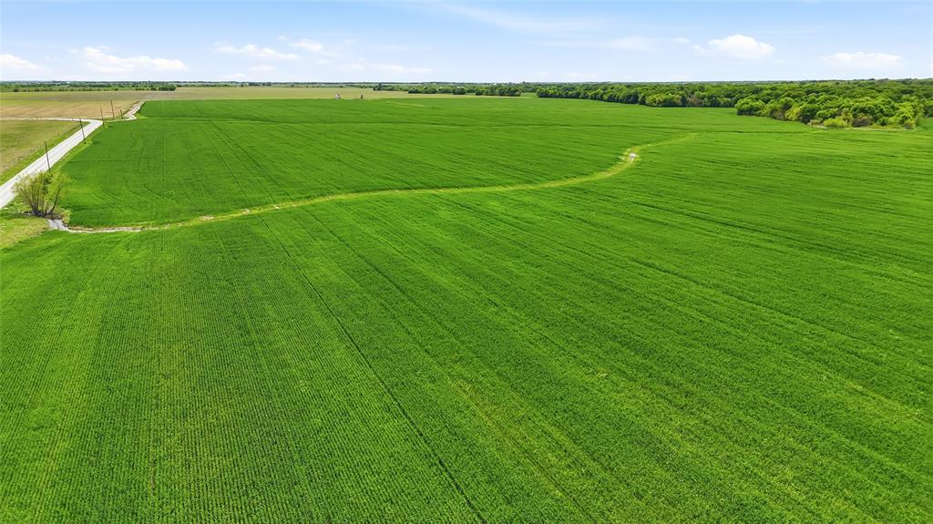 200-acres Davis Road Collinsville, TX 76233 - Photo 7 of 21