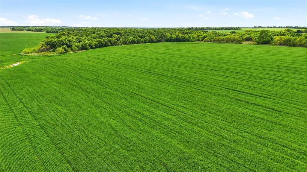 200-acres Davis Road Collinsville, TX 76233 - Photo 8 of 21