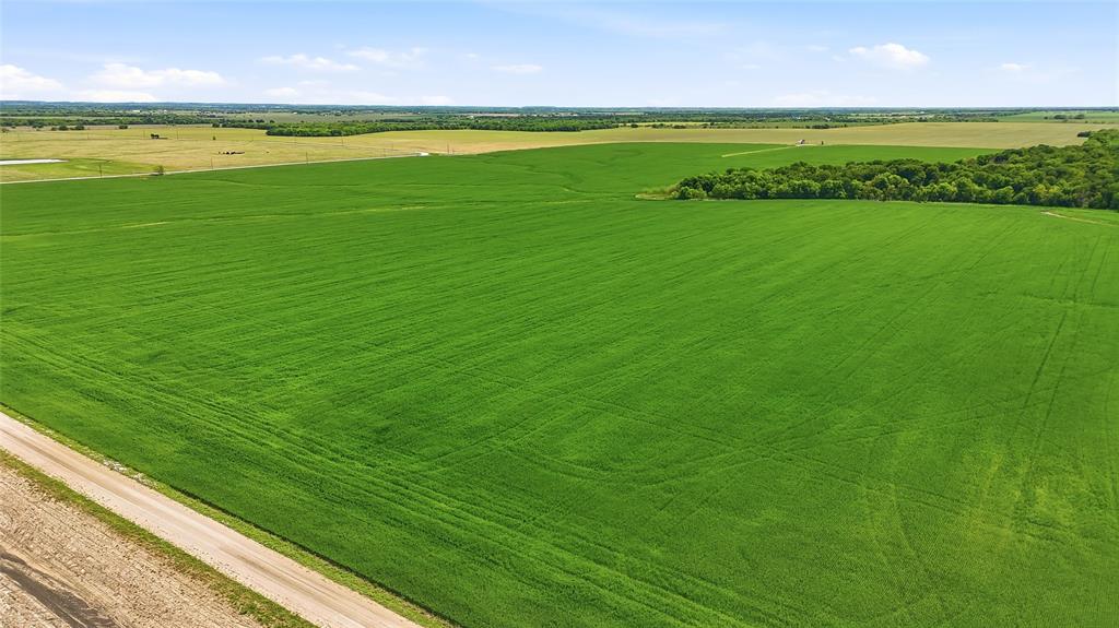 200-acres Davis Road Collinsville, TX 76233 - Photo 10 of 21