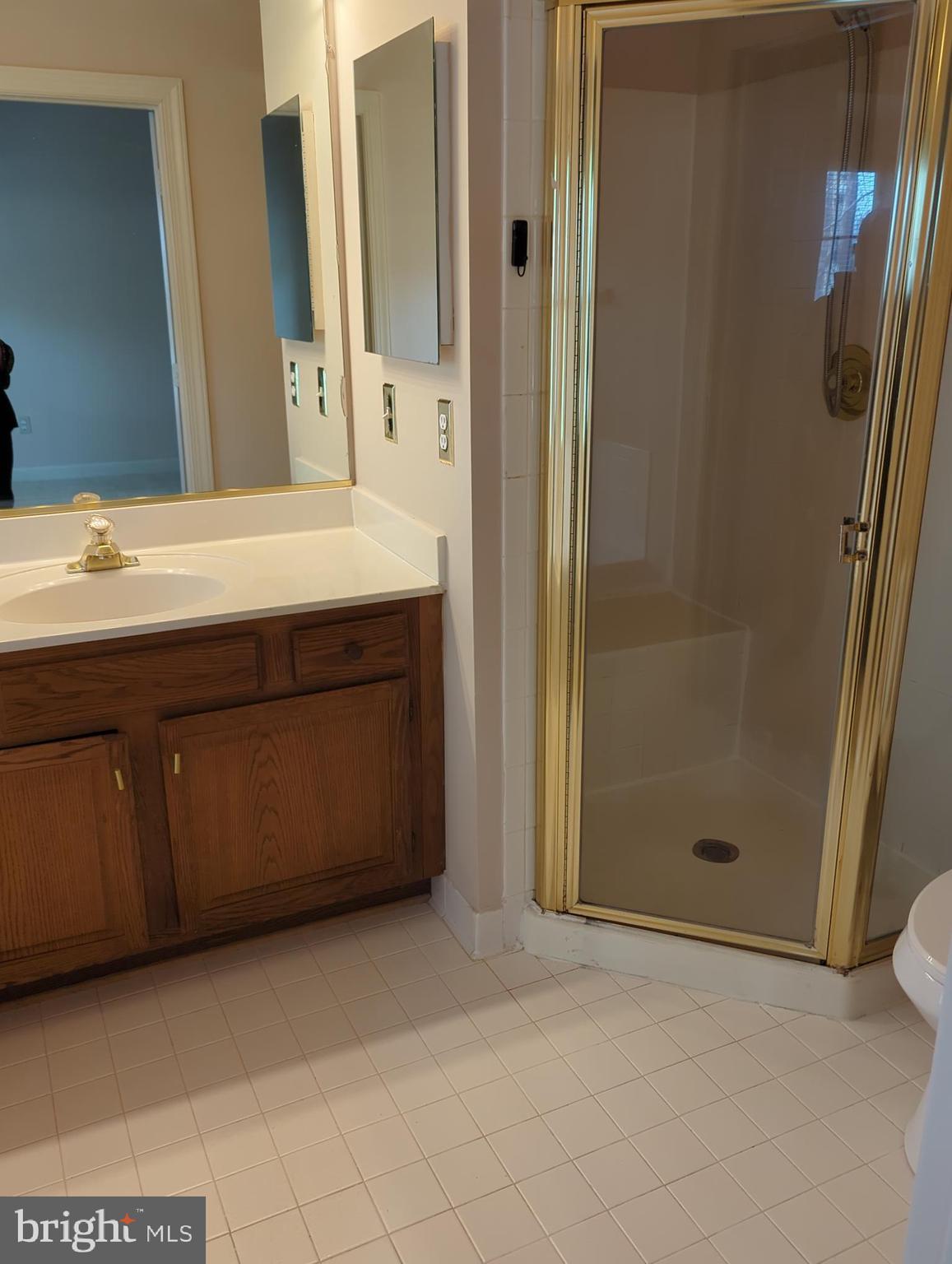 11223 Watermill Lane Silver Spring, MD 20902 - Photo 14 of 20 a bathroom with a shower sink and mirror
