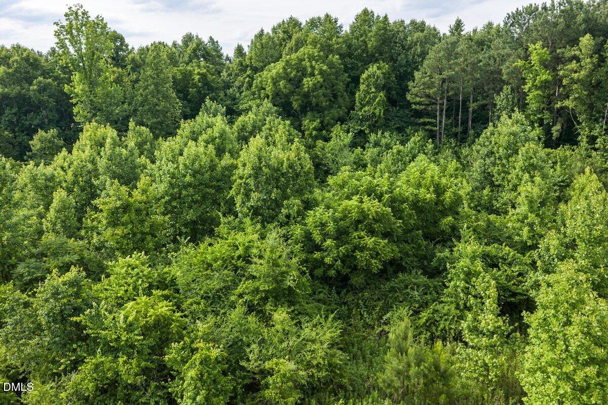 0 Lot 3 Shepard Road Norlina, NC 27563 - Photo 16 of 17