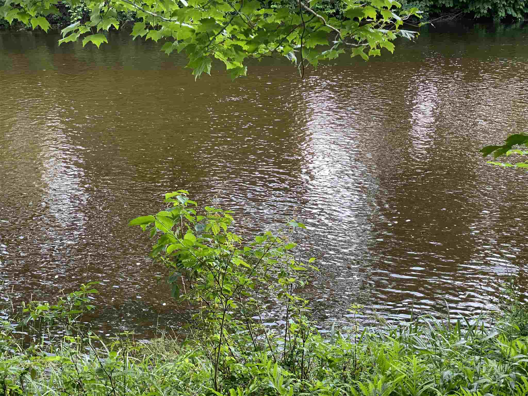 1013 Buffalo Road Rumney, NH 03266 - Photo 22 of 37