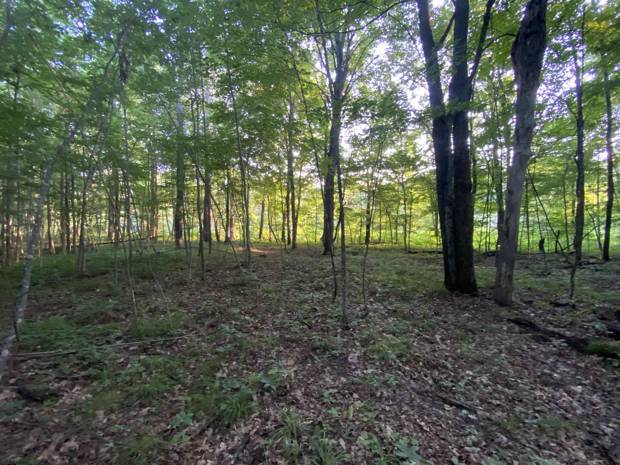 1013 Buffalo Road Rumney, NH 03266 - Photo 26 of 37