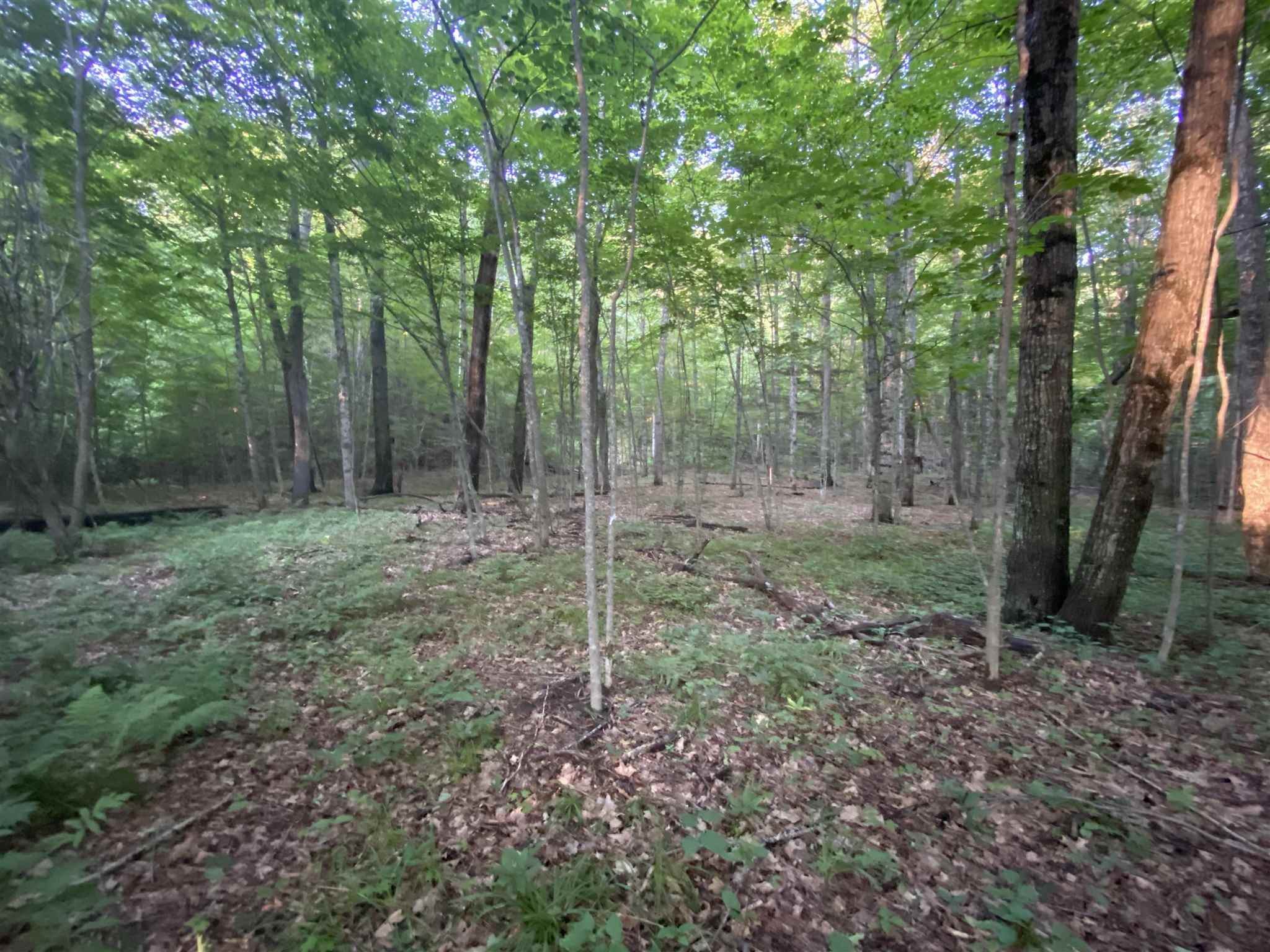 1013 Buffalo Road Rumney, NH 03266 - Photo 27 of 37