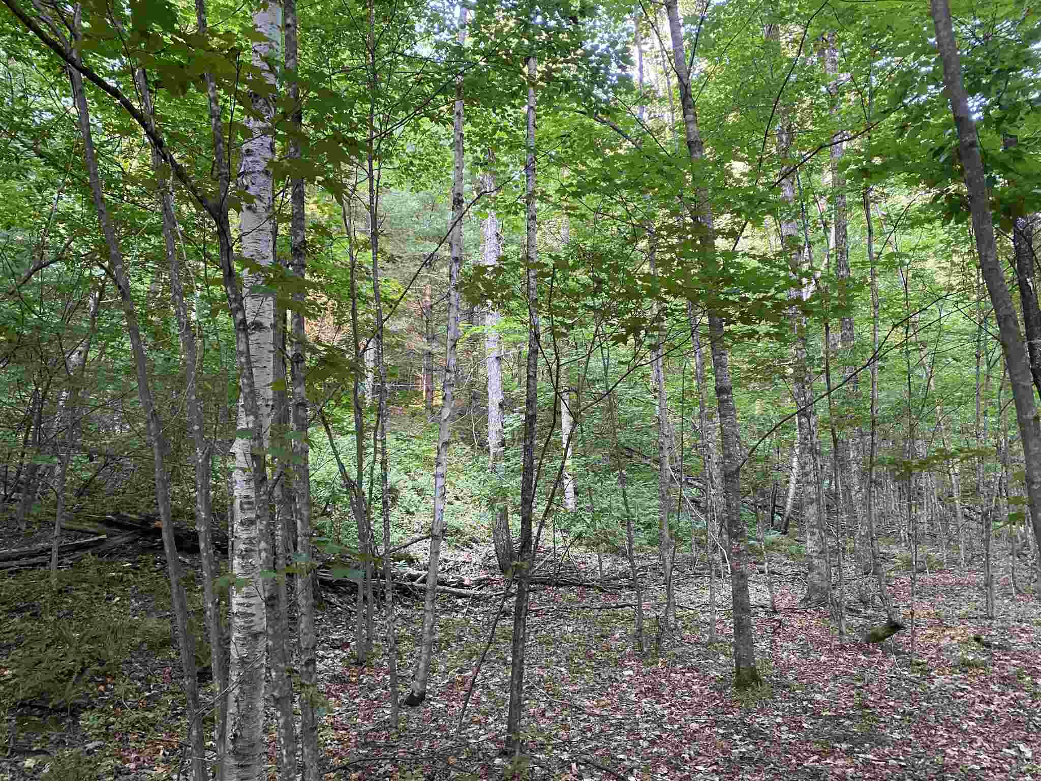 1013 Buffalo Road Rumney, NH 03266 - Photo 28 of 37