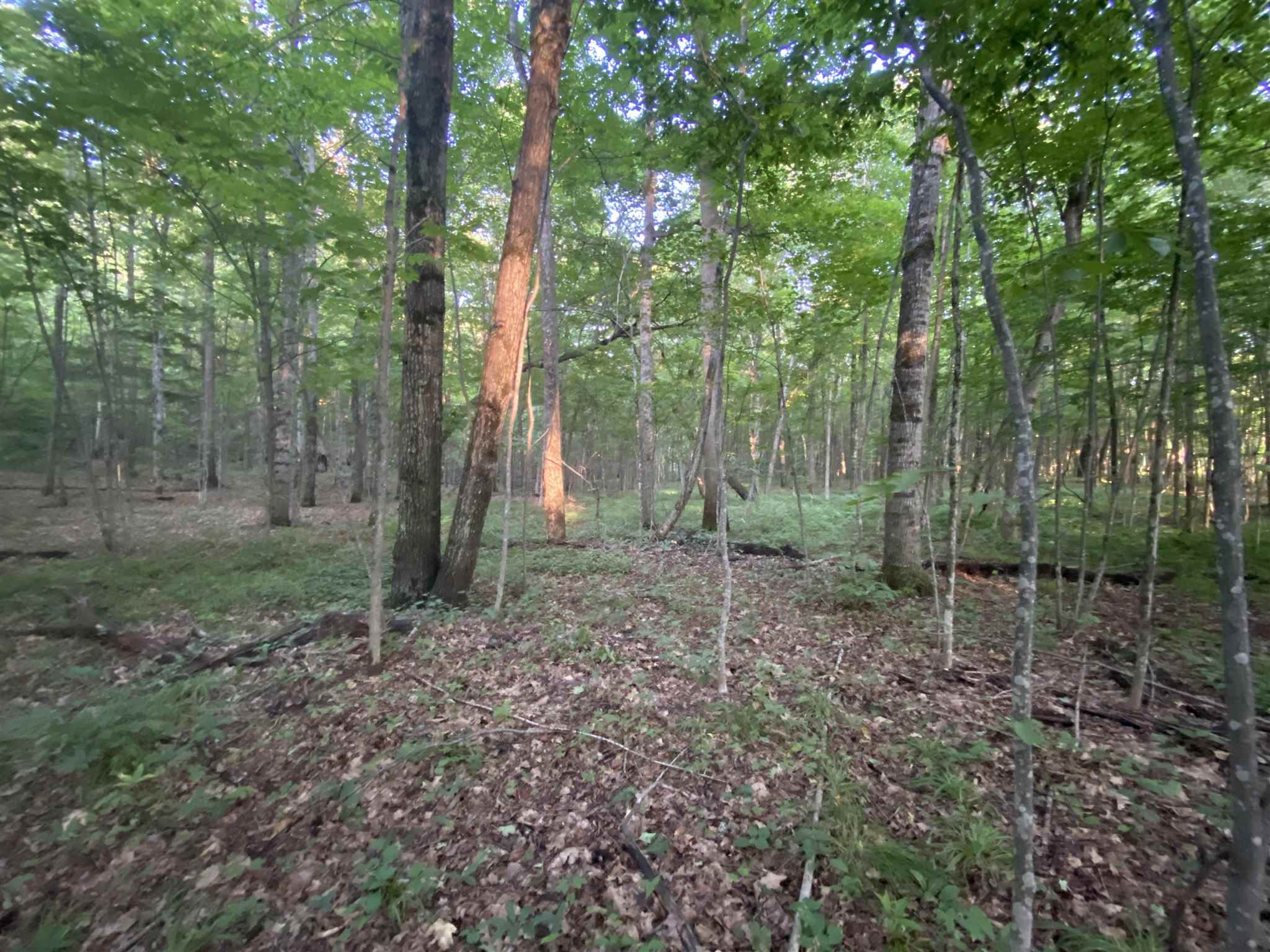 1013 Buffalo Road Rumney, NH 03266 - Photo 29 of 37