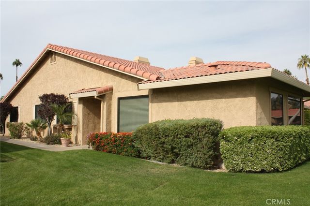 a view of a backyard with plants