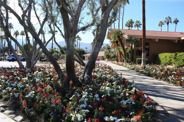 a view of a flower in a garden