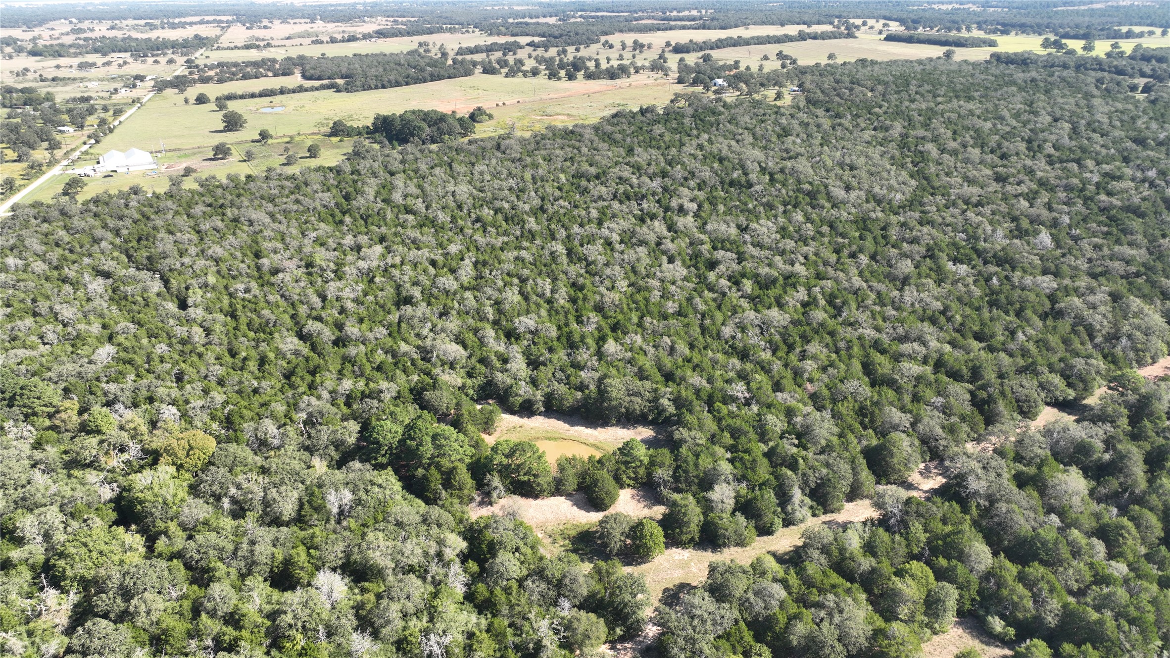 Aerial view of sparsely populated area featuring a forest