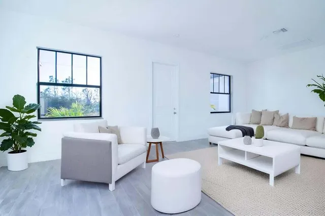 a living room with furniture and a potted plant