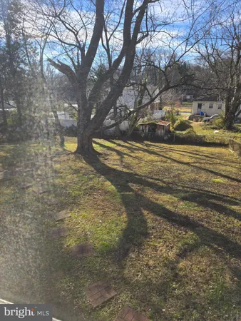 a view of yard with trees