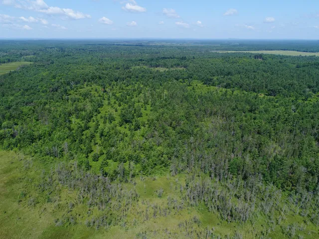 $165,000 | Xxx Potter Road, Warrens, WI 54666