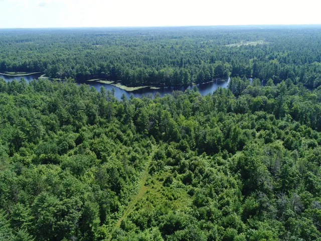 $165,000 | Xxx Potter Road, Warrens, WI 54666