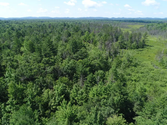 $165,000 | Xxx Potter Road, Warrens, WI 54666