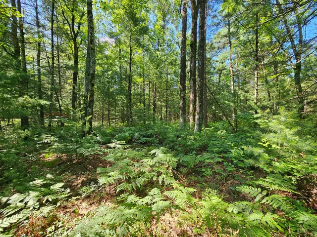 $165,000 | Xxx Potter Road, Warrens, WI 54666