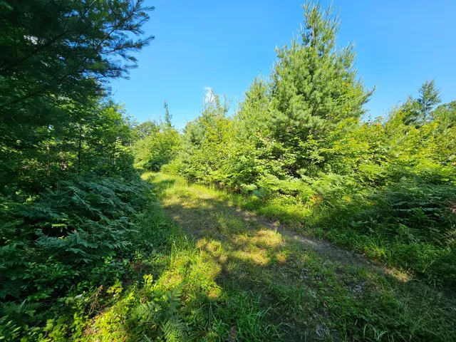 $165,000 | Xxx Potter Road, Warrens, WI 54666