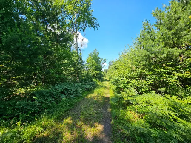 $165,000 | Xxx Potter Road, Warrens, WI 54666