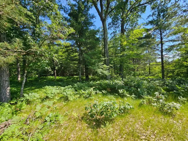 $165,000 | Xxx Potter Road, Warrens, WI 54666