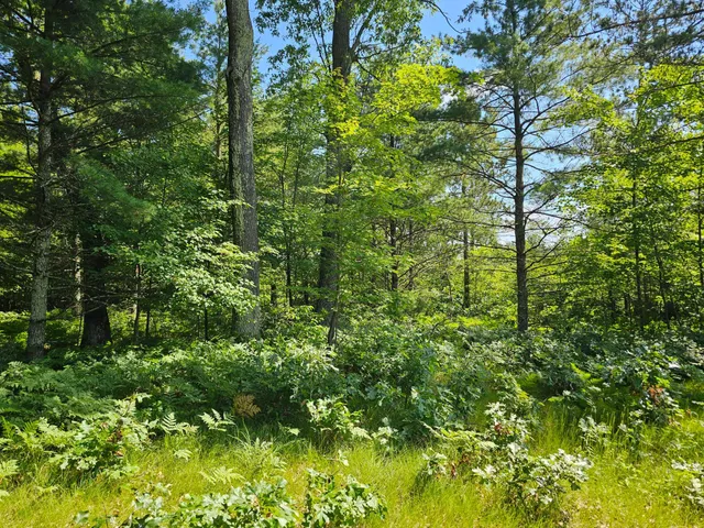 $165,000 | Xxx Potter Road, Warrens, WI 54666