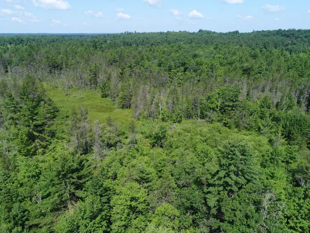 $165,000 | Xxx Potter Road, Warrens, WI 54666