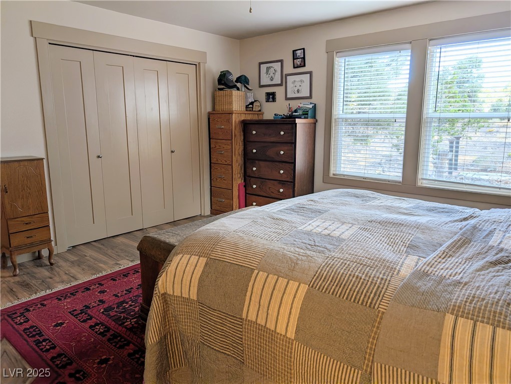 8320 Mother Lode Road Pioche, NV 89043 - Photo 33 of 46 Bedroom with wood floors and a closet