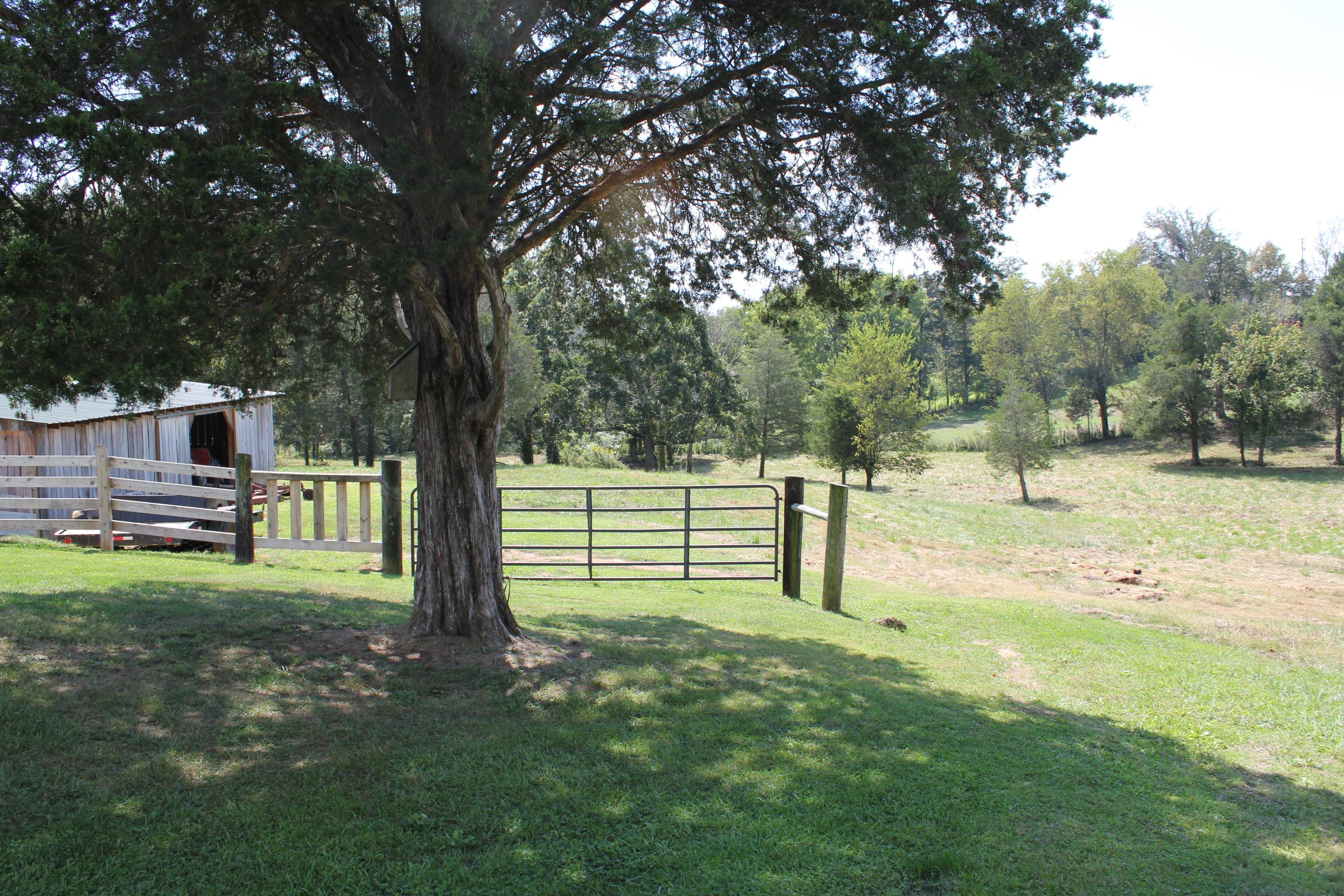 10314 King Road Kodak, TN 37764 - Photo 4 of 18 IMG_3060
