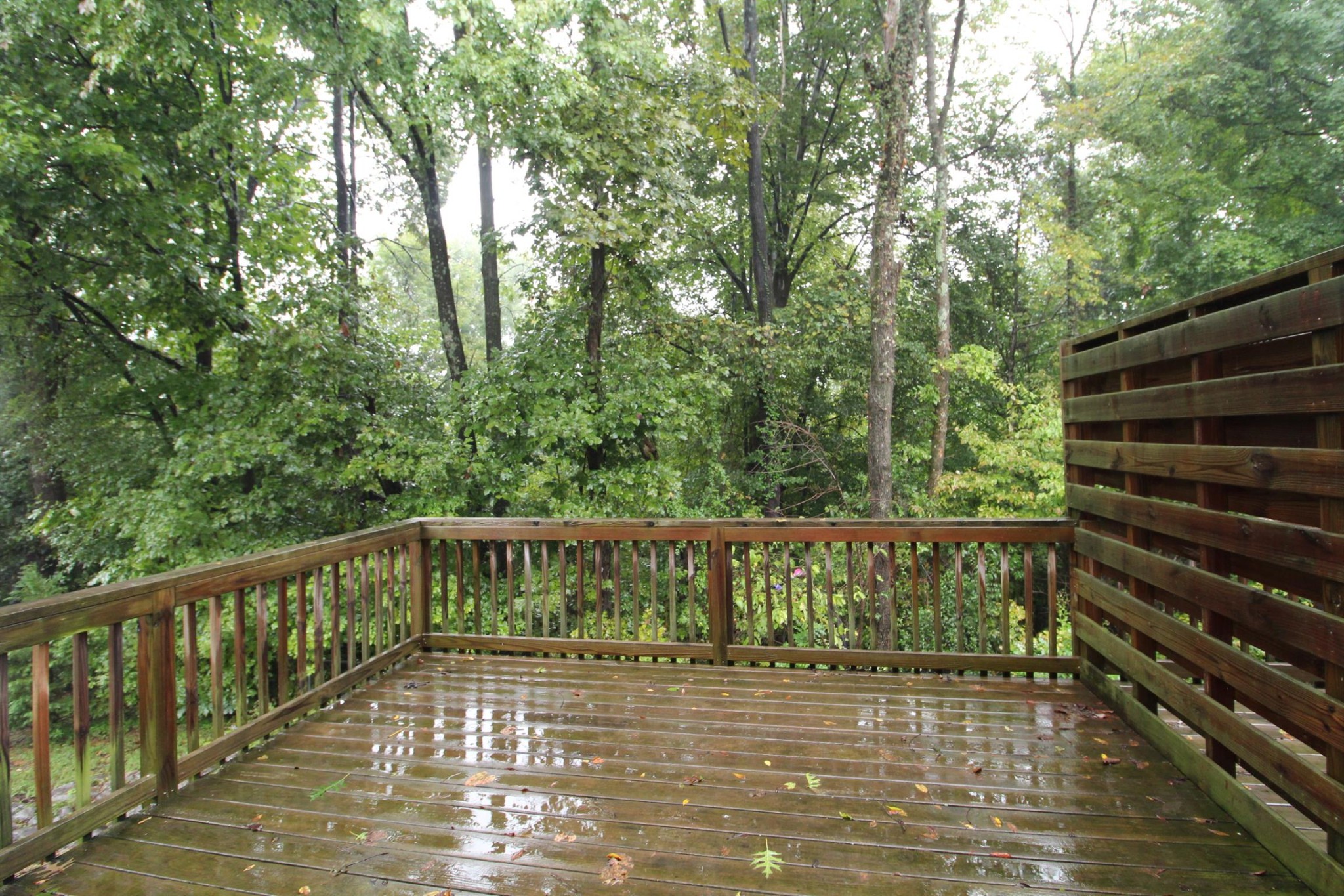 531 Peachers Ridge Road, Unit A Clarksville, TN 37042 - Photo 3 of 8