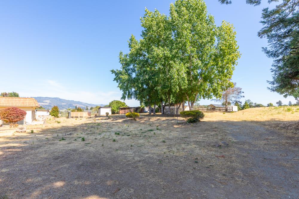 96 Wheelock Road Watsonville, CA 95076 - Photo 25 of 53 a view of beach and small yard